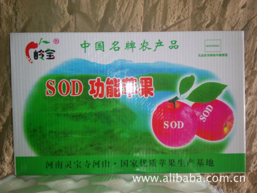 高山果園的饋贈 綠色無公害紅富士蘋果，品質與健康的承諾